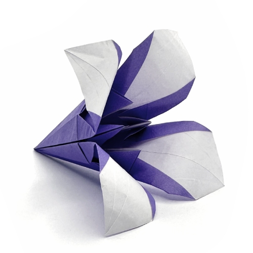 easy origami iris