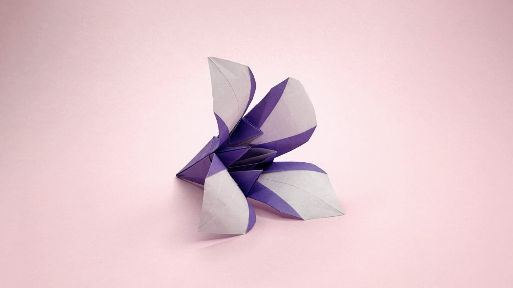 traditional origami iris