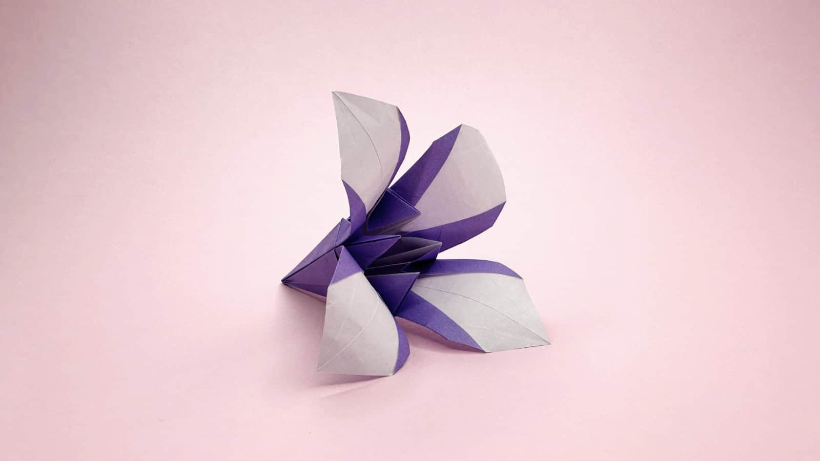 traditional origami iris