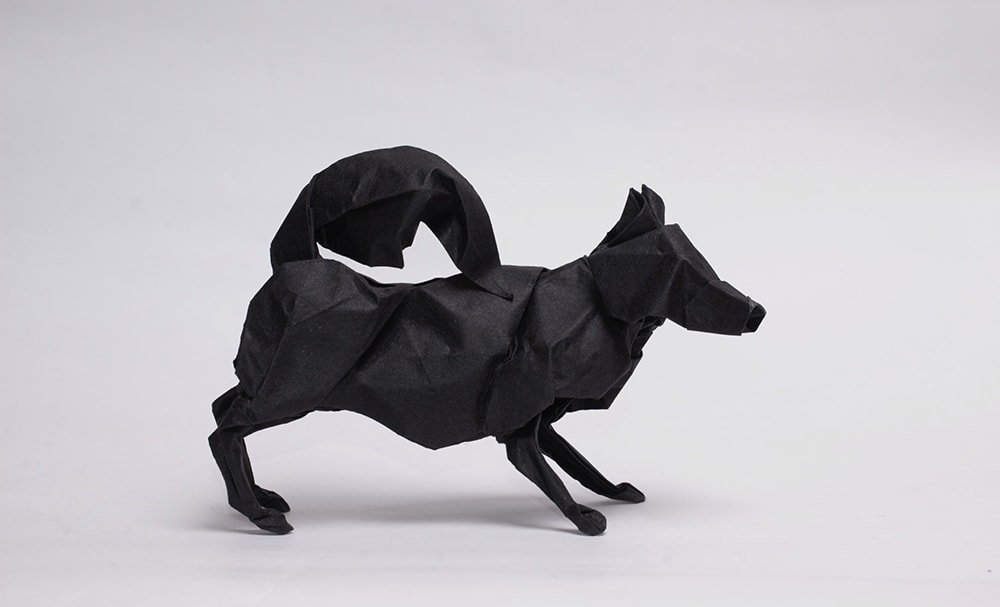 Black Dog