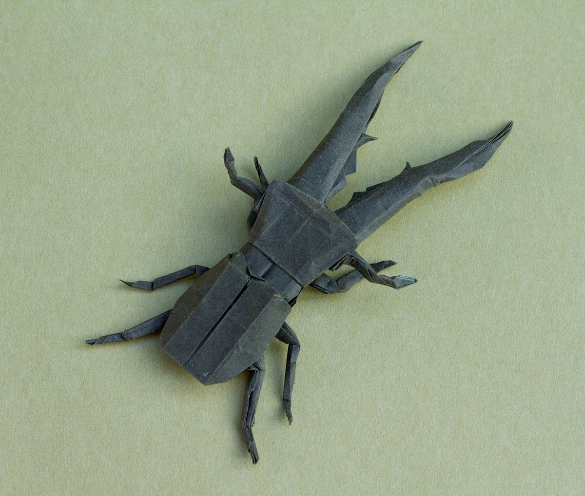 Cyclommatus Metallifer