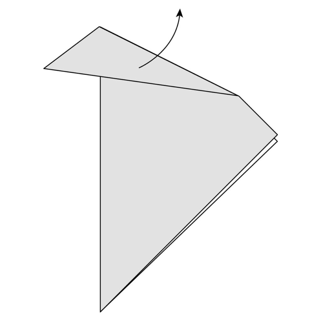Outside Reverse Fold Step 6