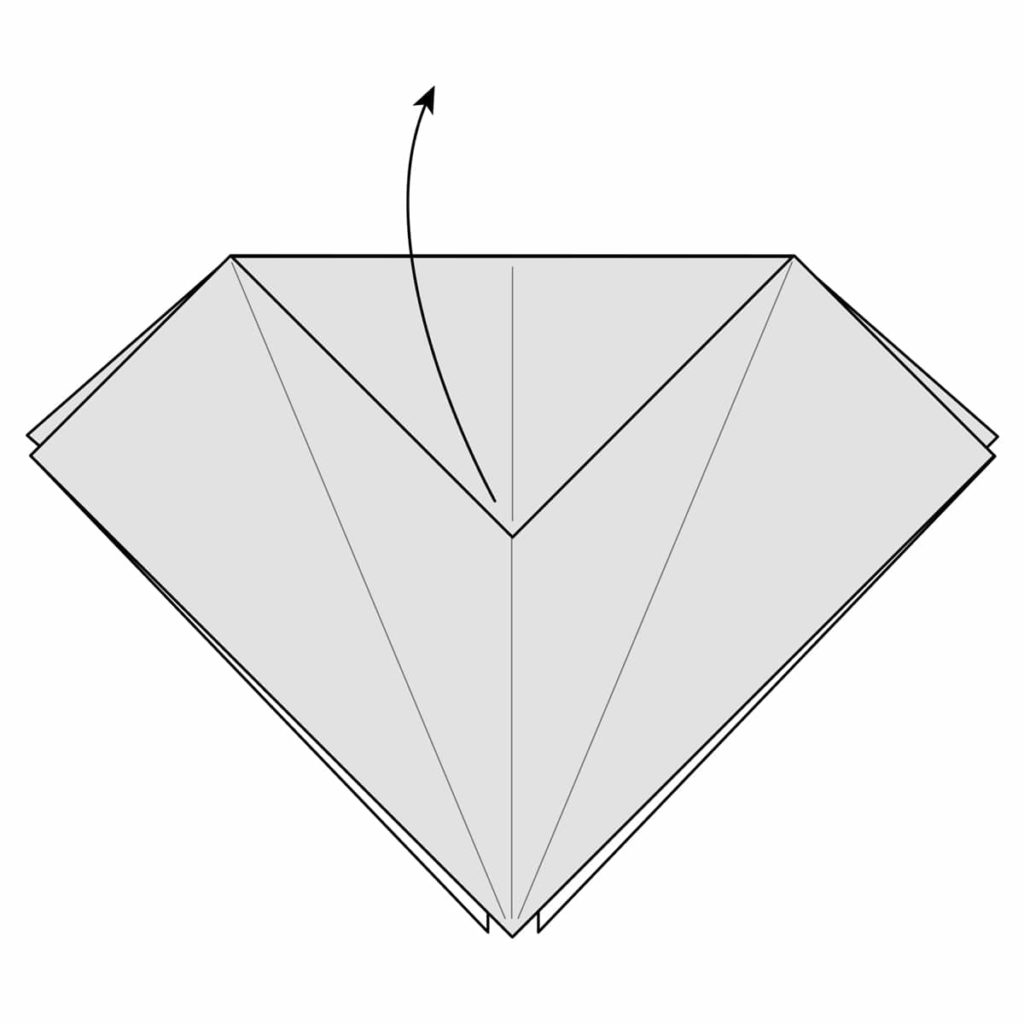 Petal Fold Step 6