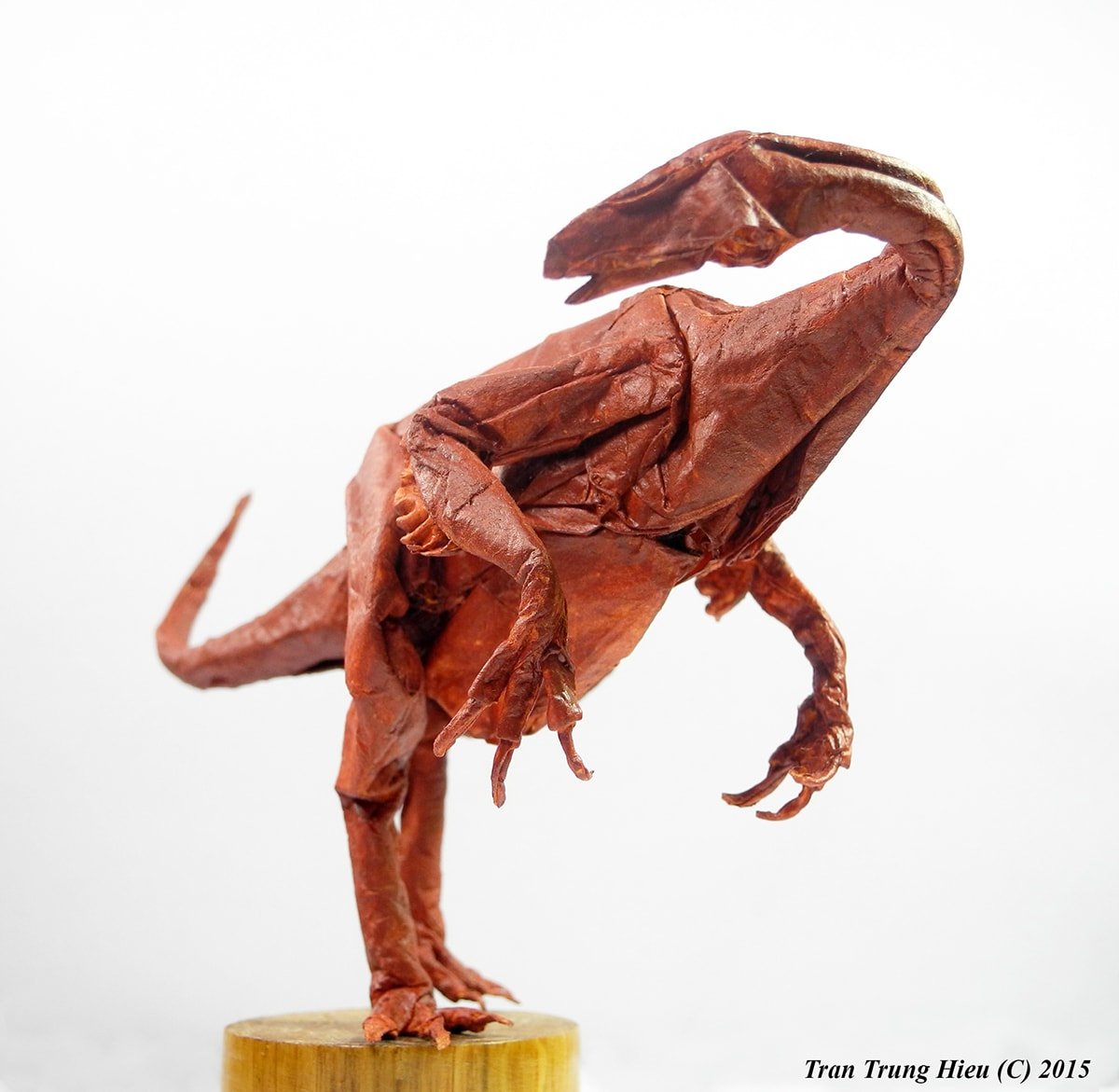 Nothronychus mckinleyi