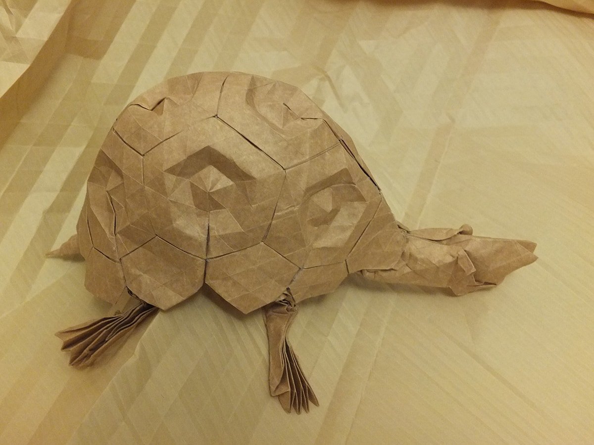 Turtle