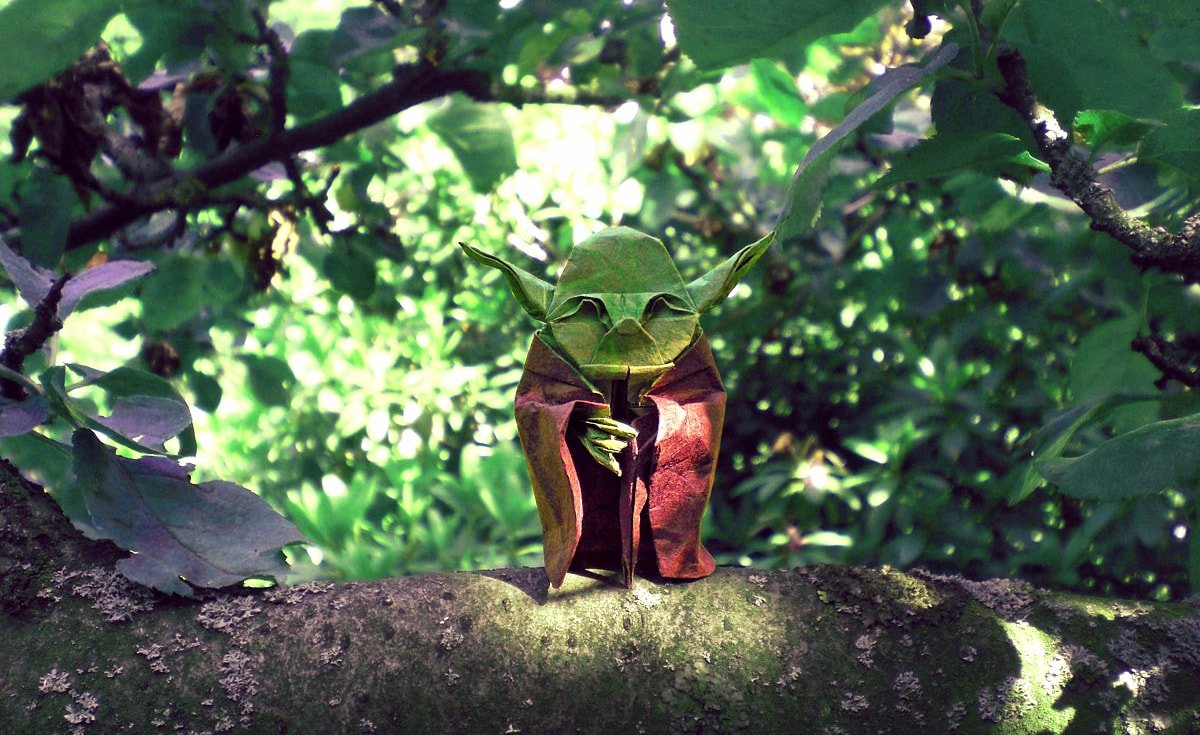 Yoda in the Forest