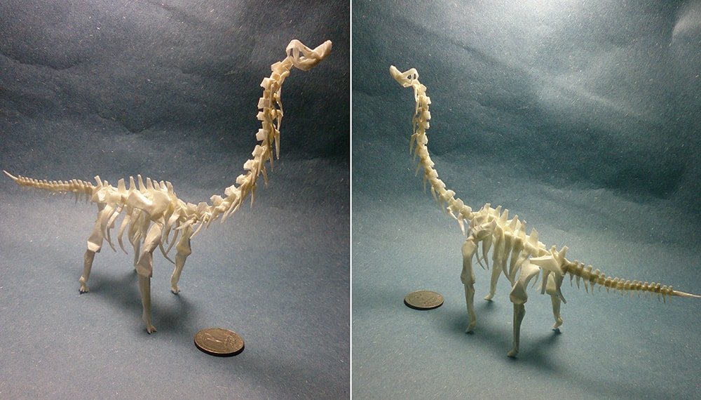 Tiny Brachiosaurus Skeleton