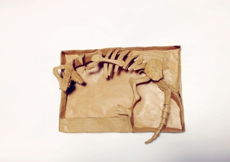 Dinosaur Skeleton and Wall