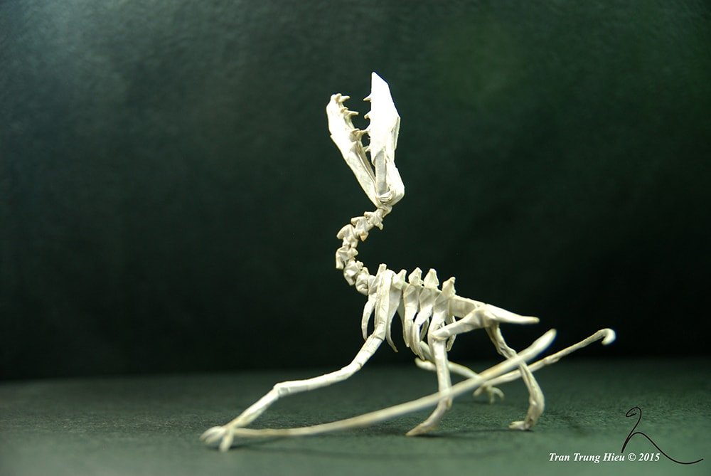 Pterosaur Skeleton