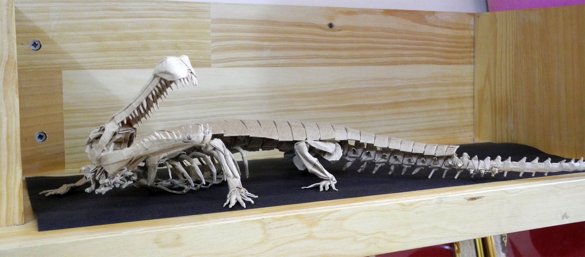 Sarcosuchus