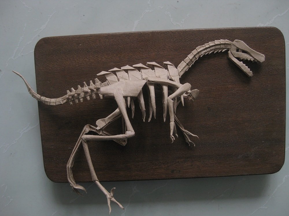 Velociraptor Skeleton