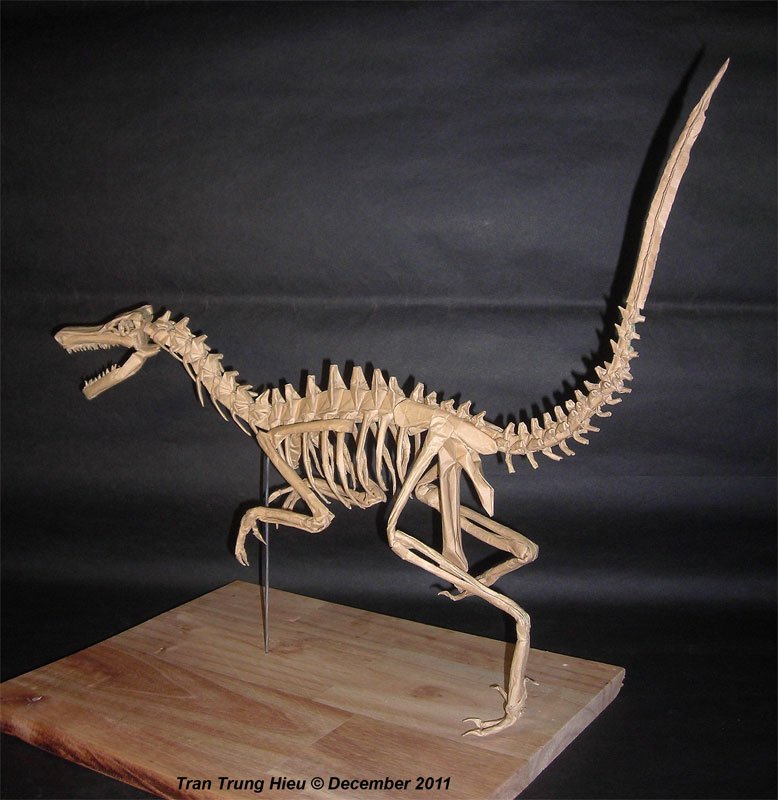 Velociraptor Skeleton