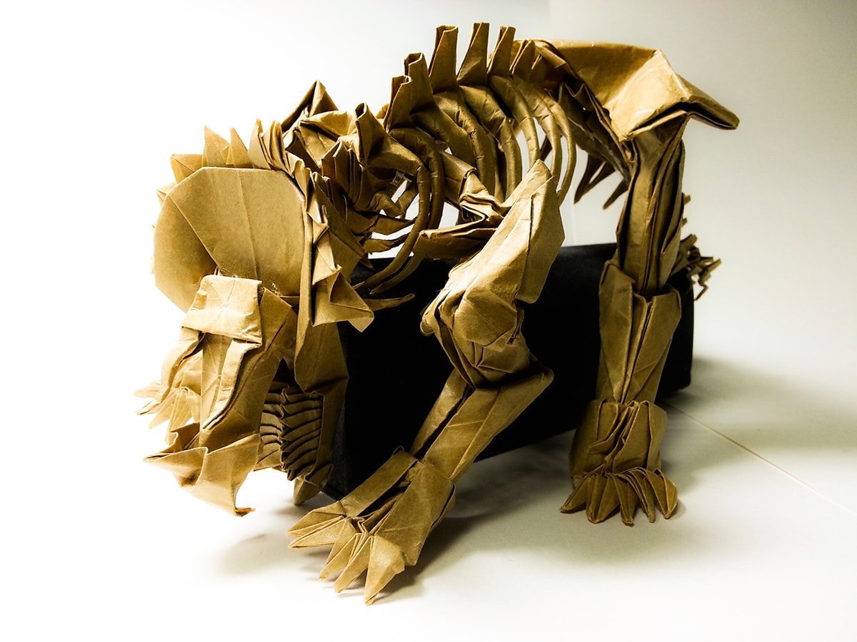 Triceratops Skeleton
