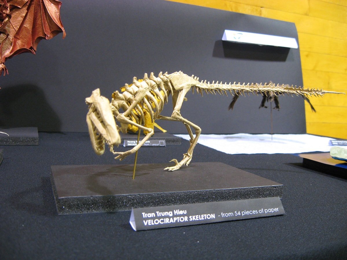 Velociraptor Skeleton