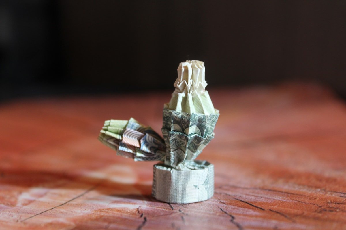 Origami Money Cactus