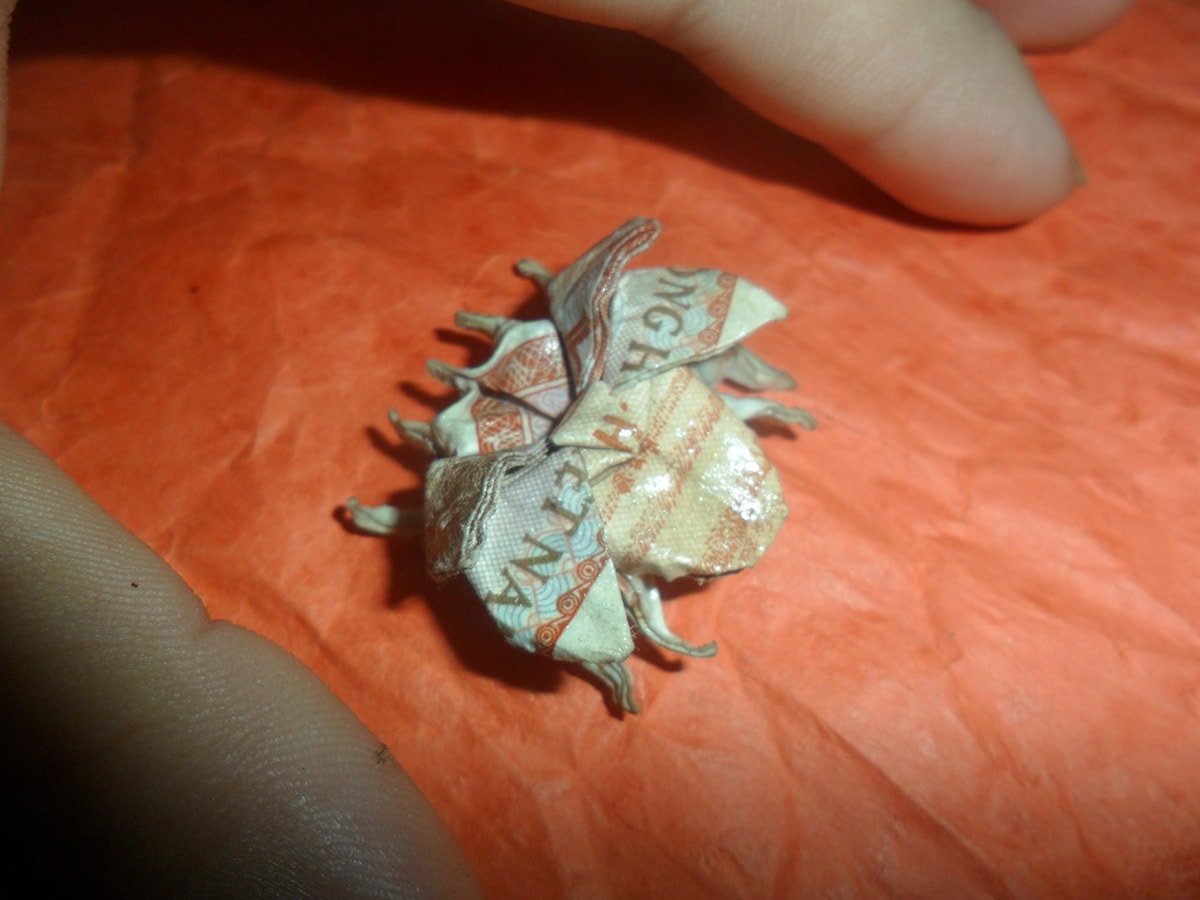 Origami Money Insect