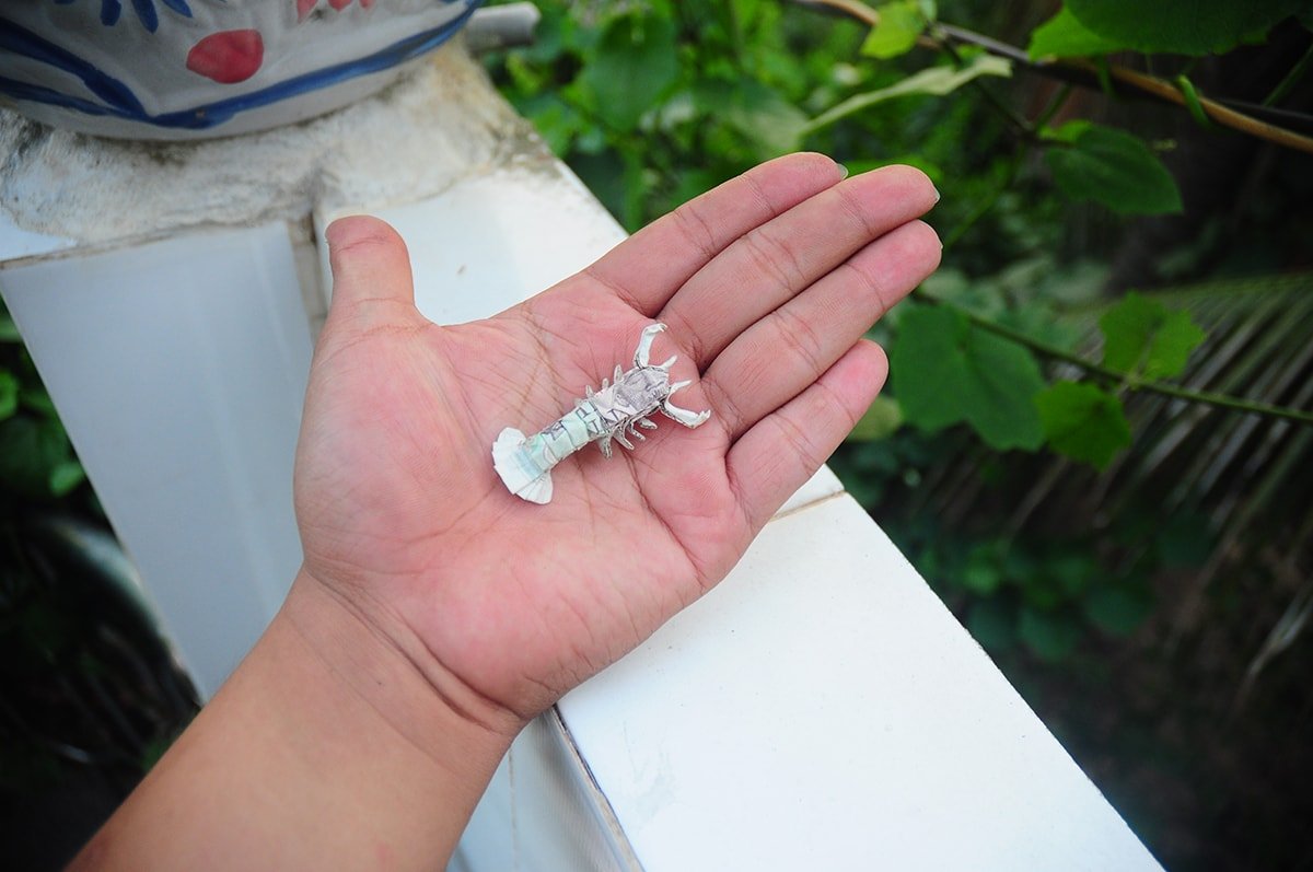 Origami money shrimp