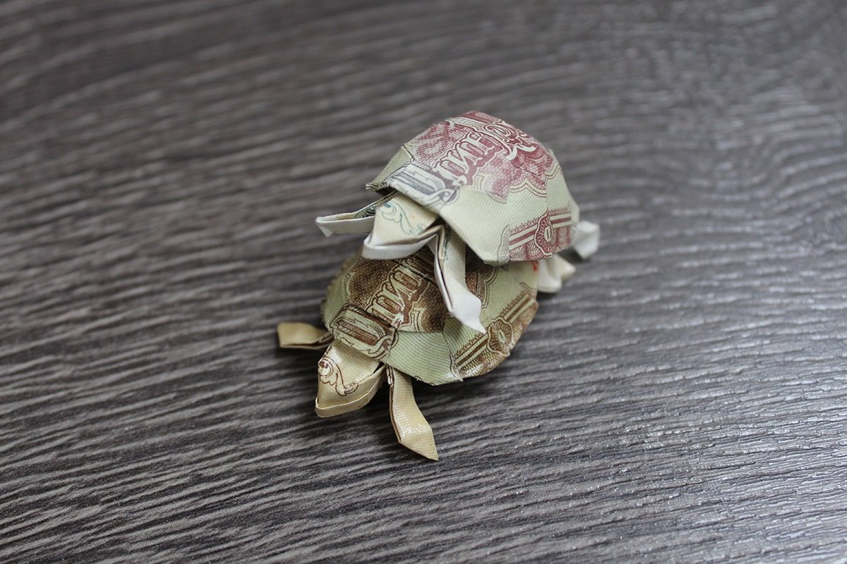 Origami Money Turtles