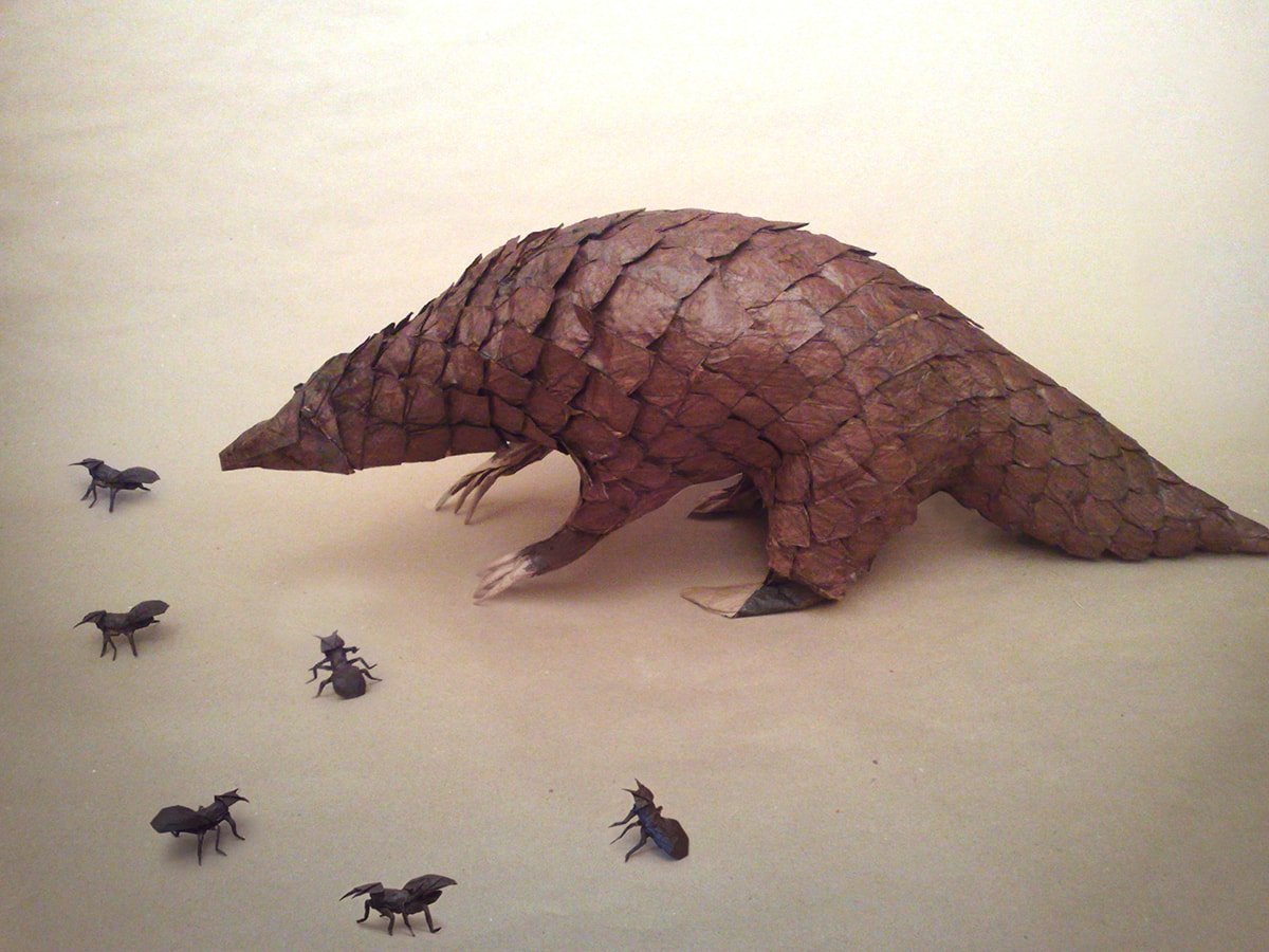 Pangolin