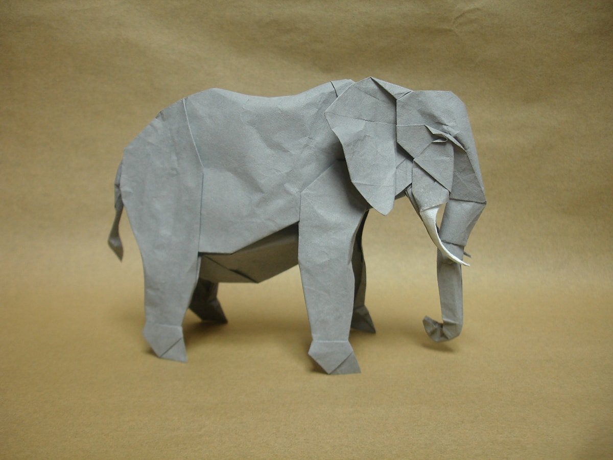 African Elephant