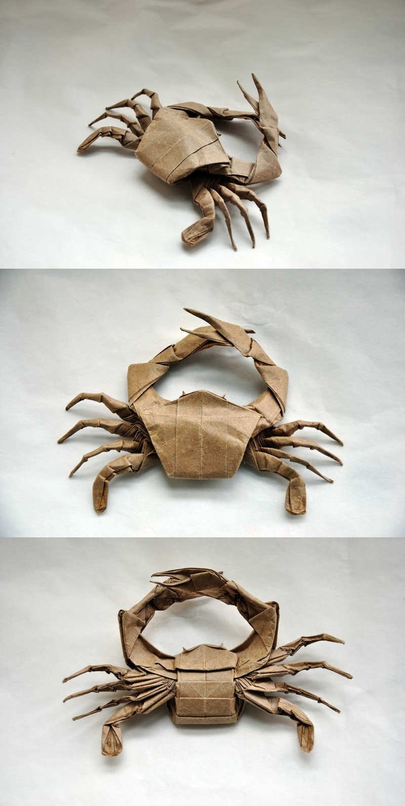 Jason Ku's Crab