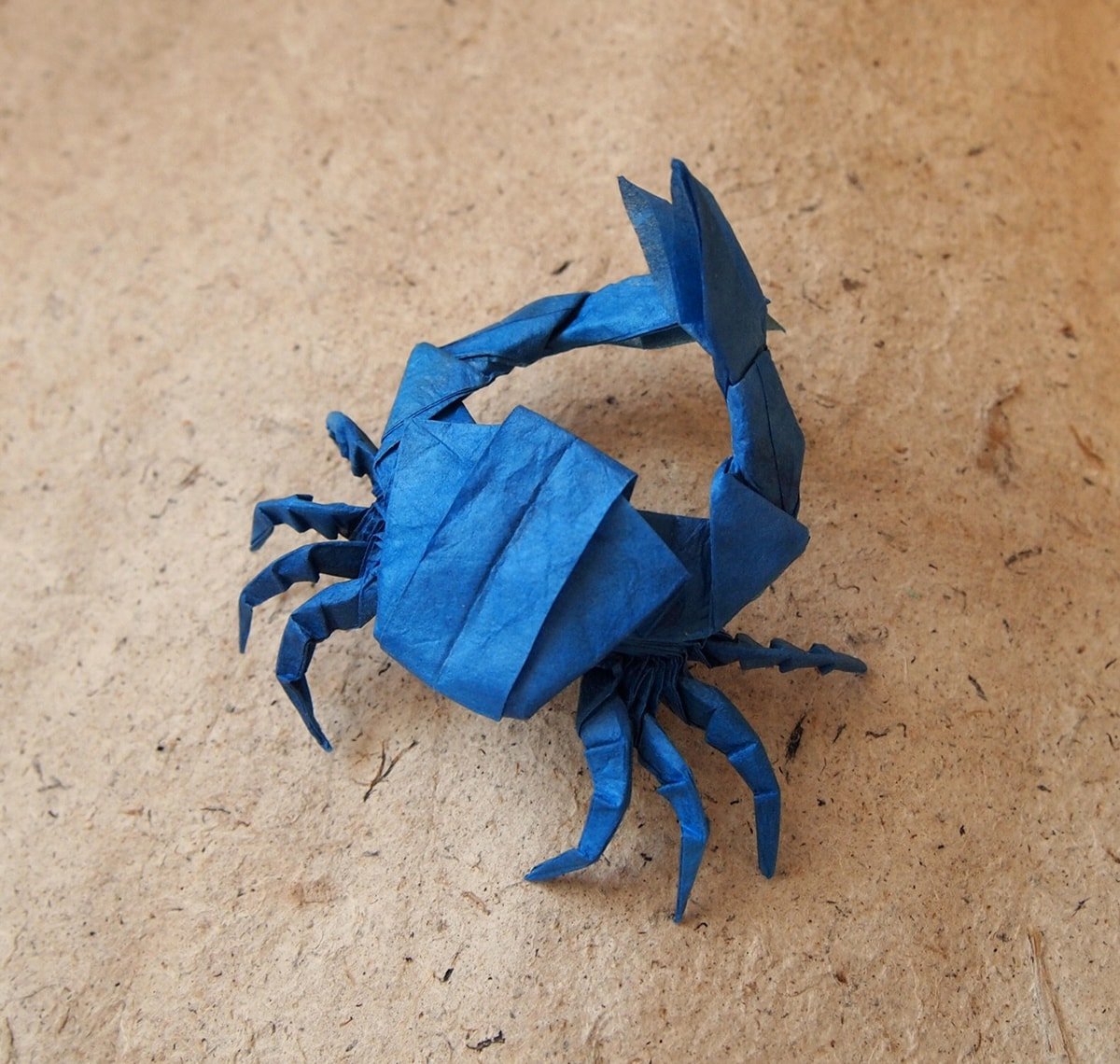 Blue Crab