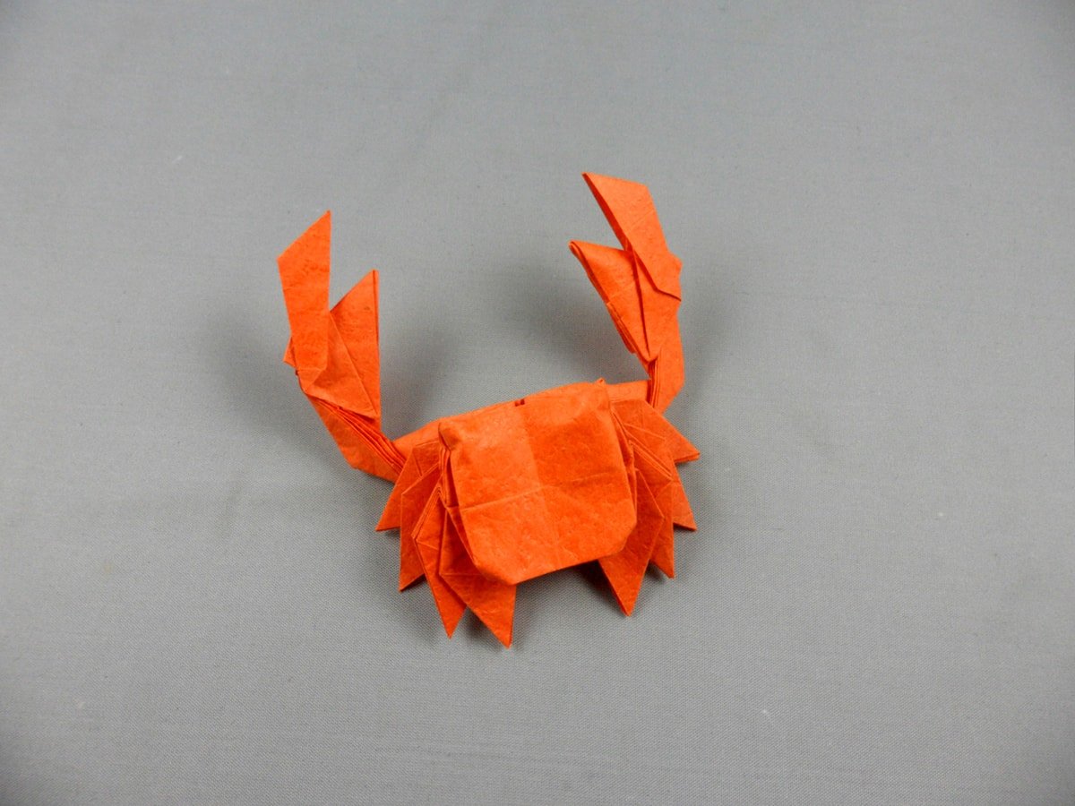 Orange Crab