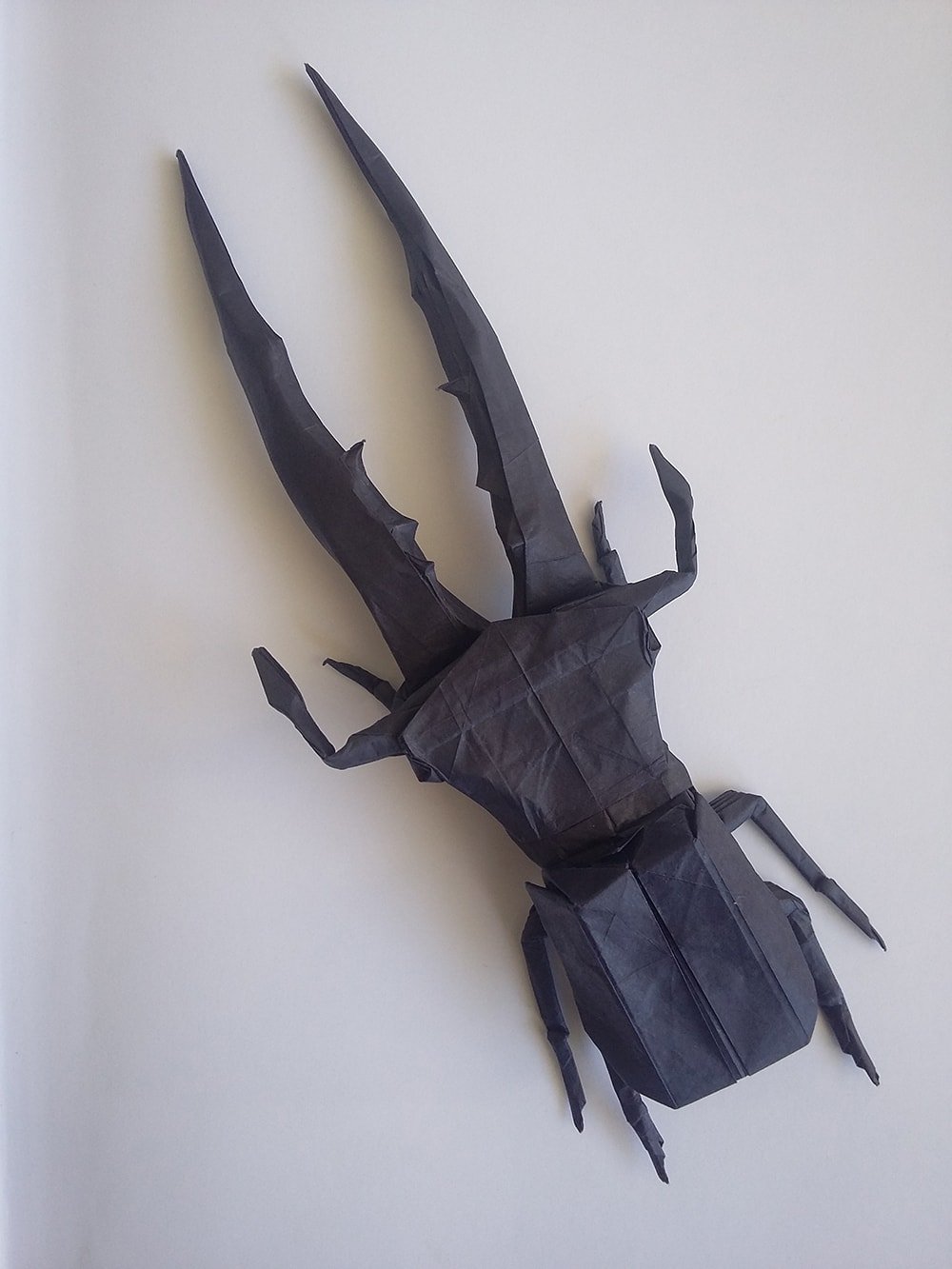 Cyclommatus Metallifer