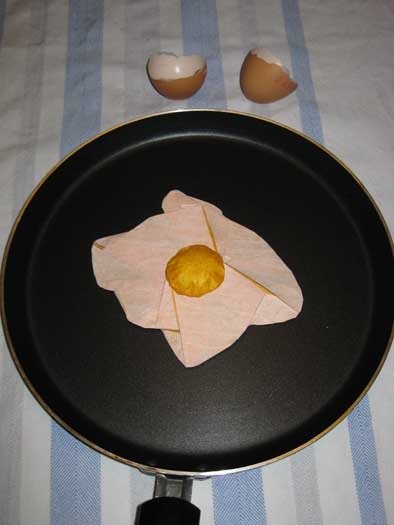 Fried Egg