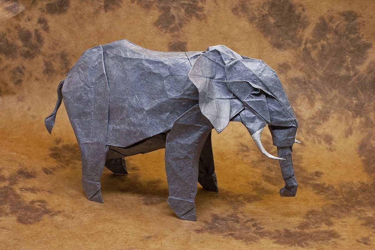 African Elephant