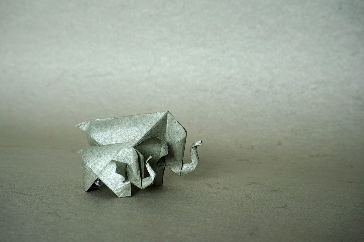 Cute Elephant Family