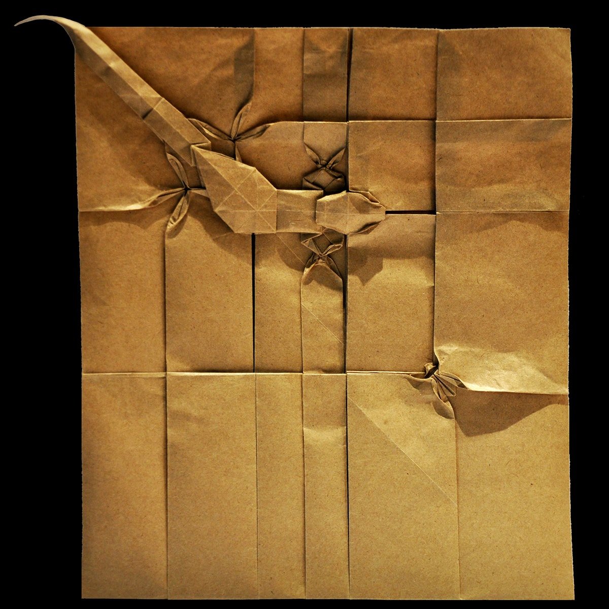 Gecko and Fly on Wall