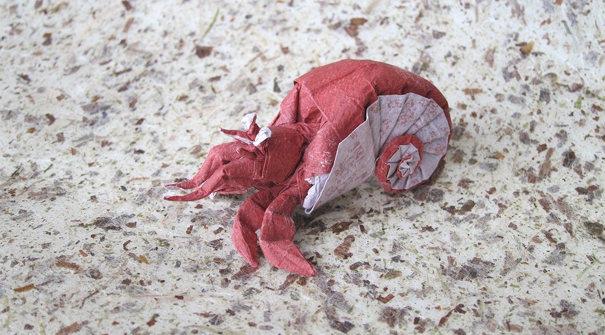 Hermit Crab