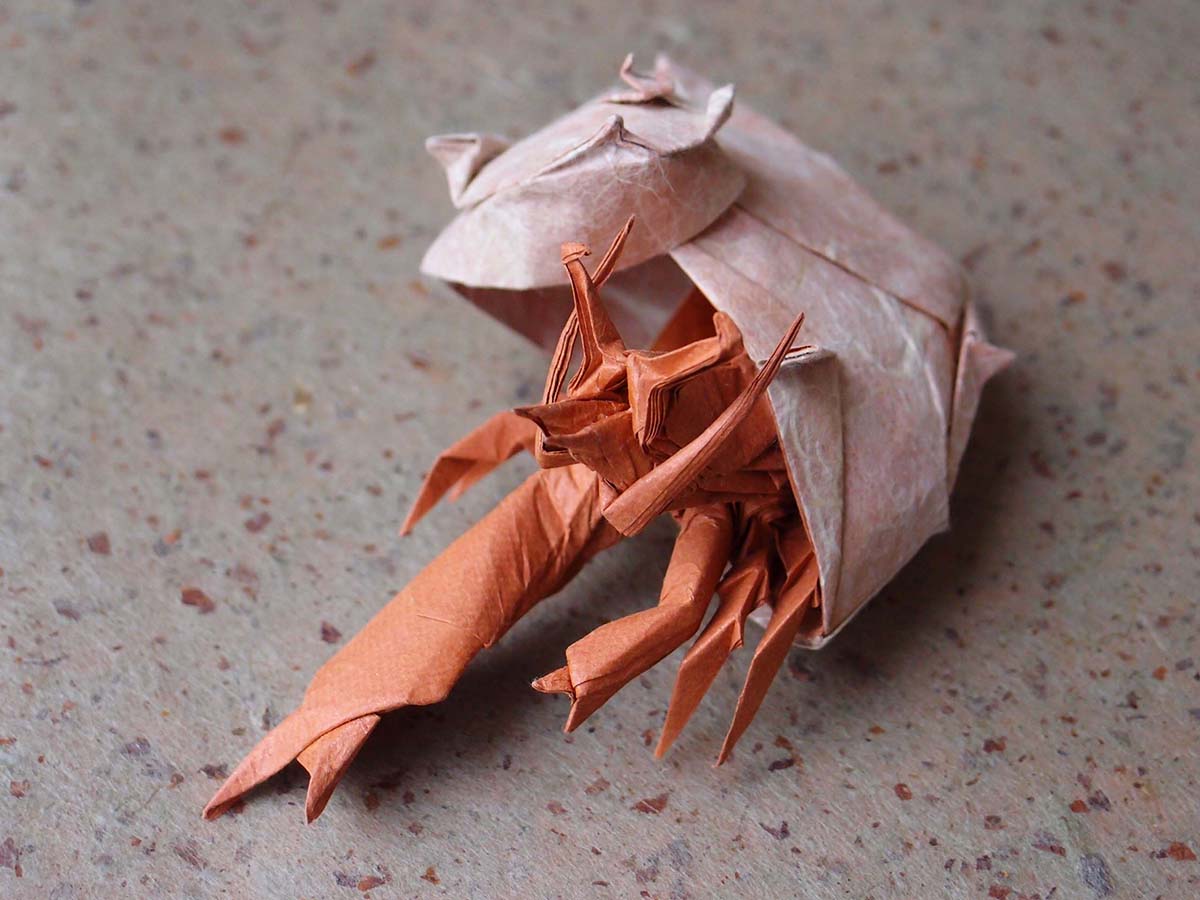 Paper Hermit Crab