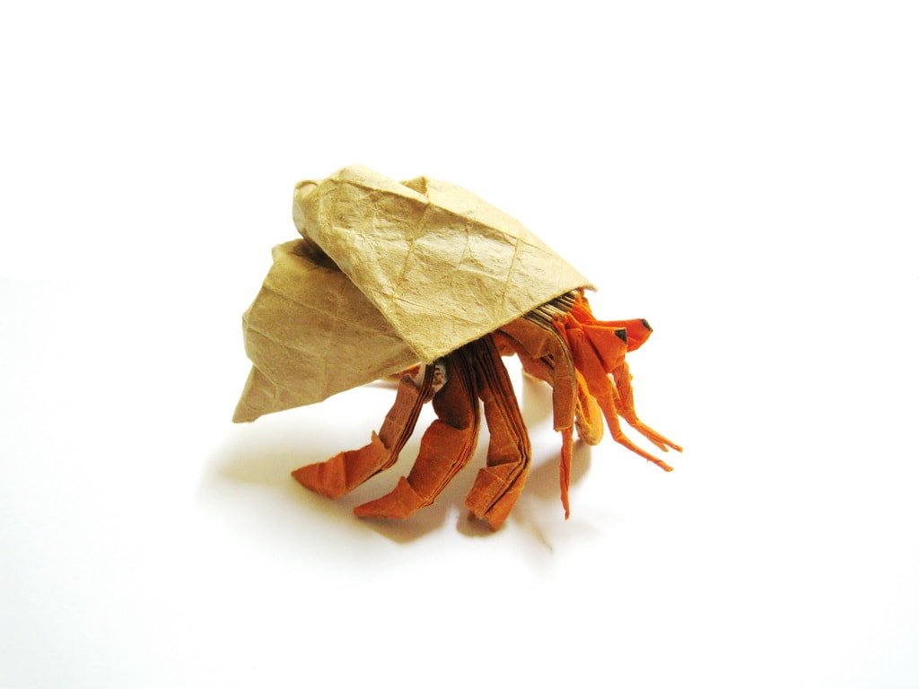 Hermit Crab
