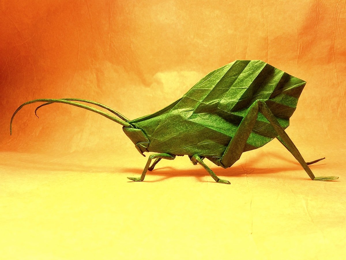 Leaf Insect