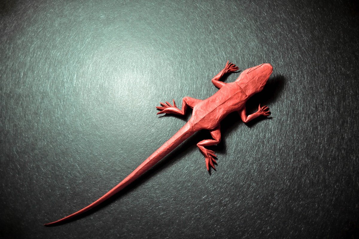 Red Lizard