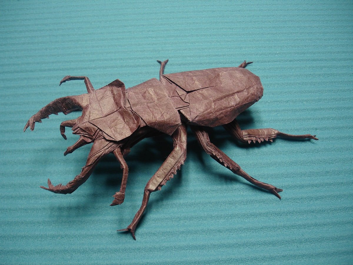 Lucanus Maculifemoratus