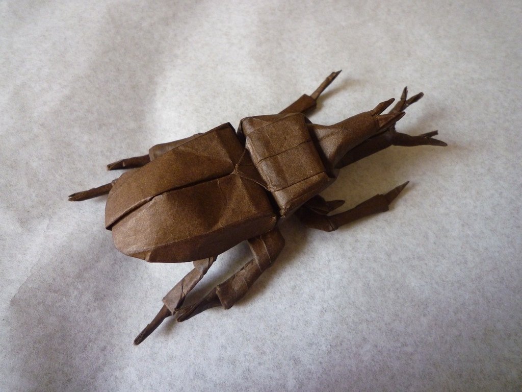 Samurai Helmet Beetle