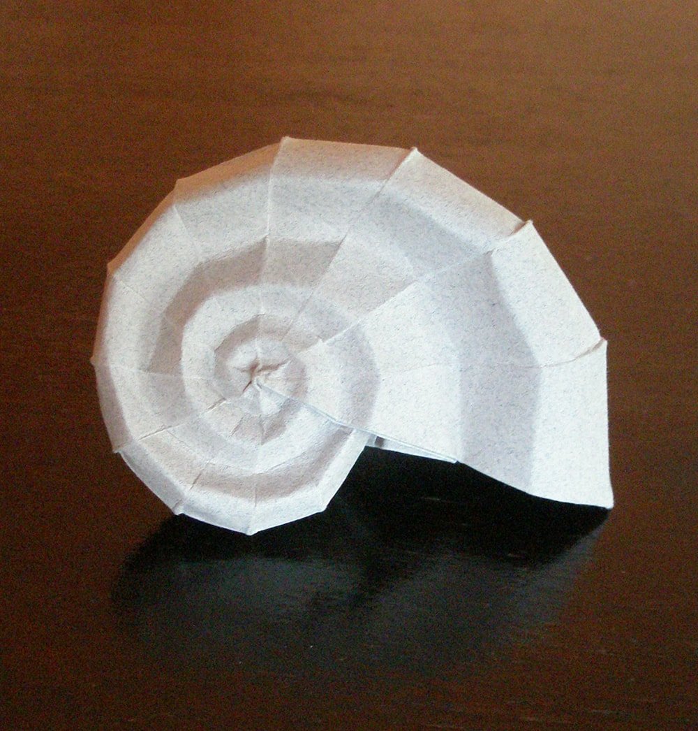 Spiral Shell
