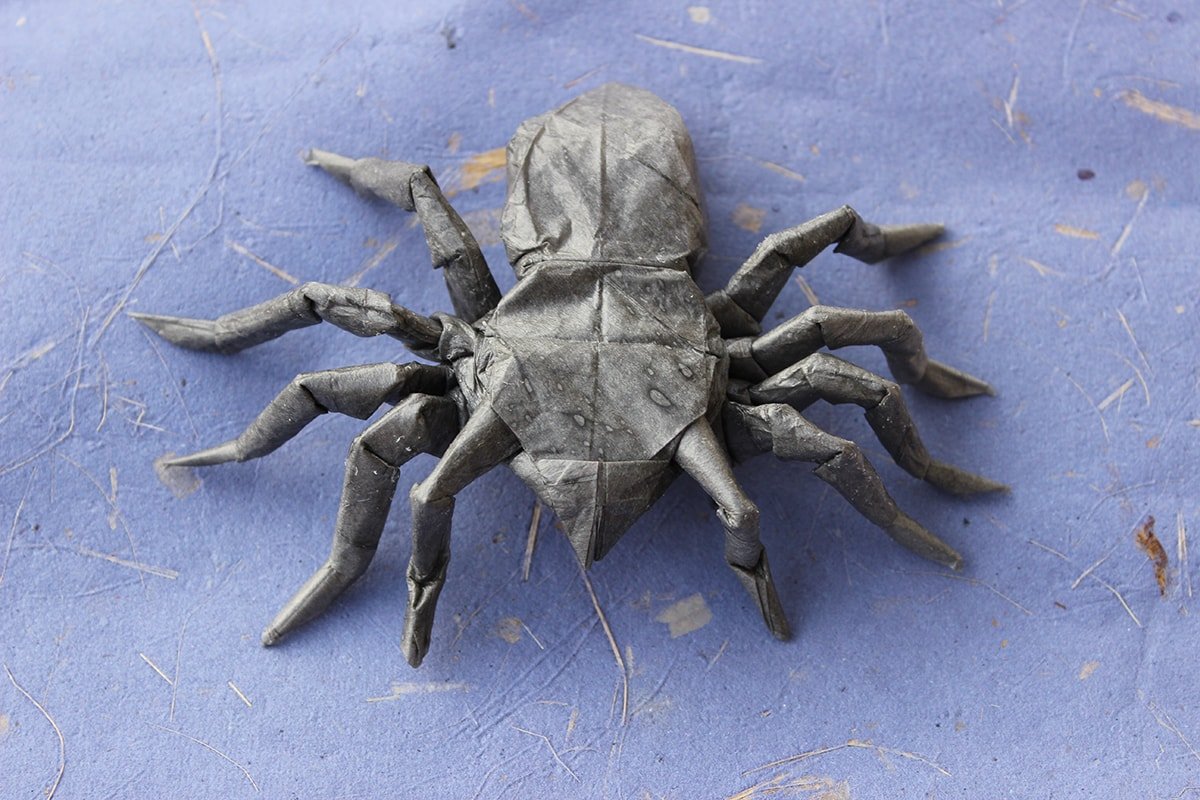 Tarantula