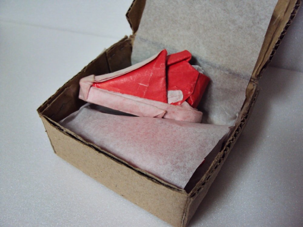Converse Shoe in Box