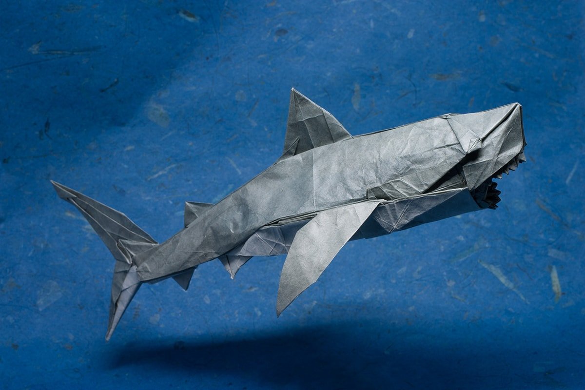 Great White Shark