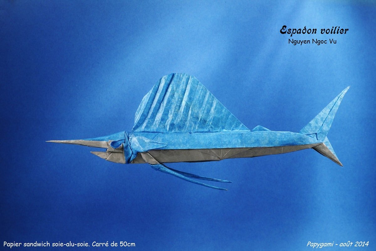 Sailfish
