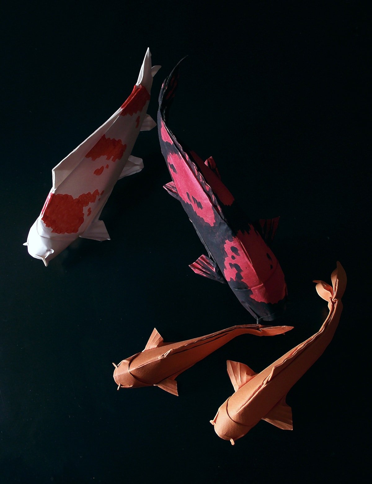 4 Paper Koi by Edgar Williams