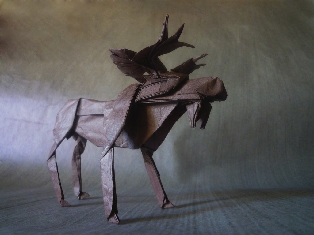 Bull Moose by Robert J. Lang