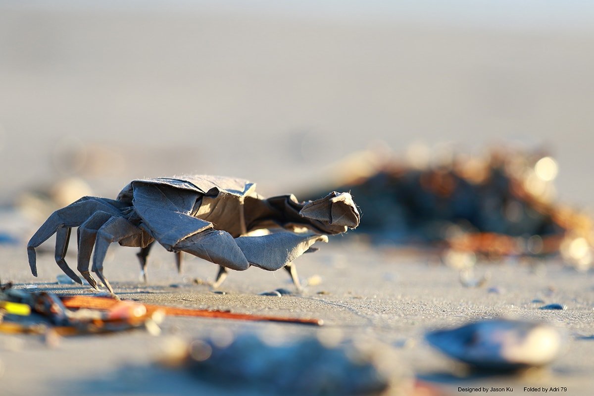 Crab by Jason Ku (Cancer)