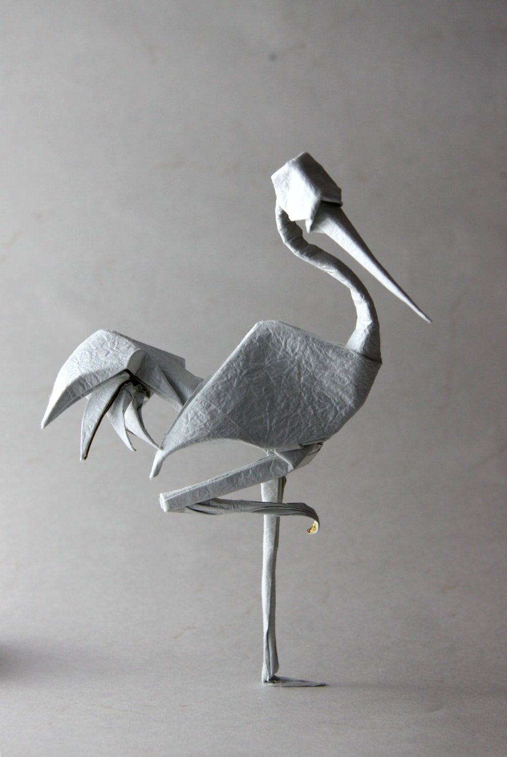 Standing Crane by Terry Nicolas