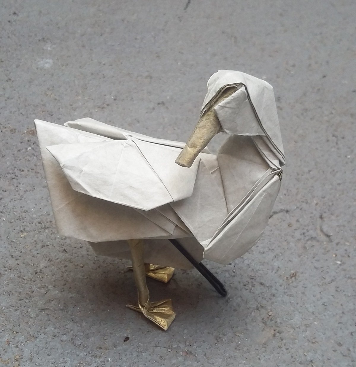 Duck by Seth Friedman