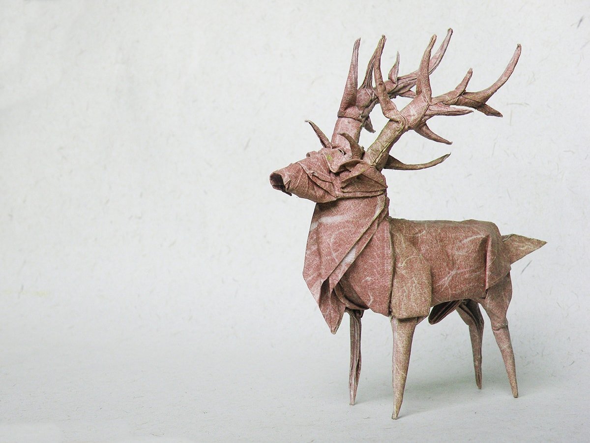Elk by Pham Hoang Tuan